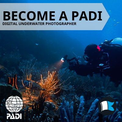 Digital Underwater Photographer