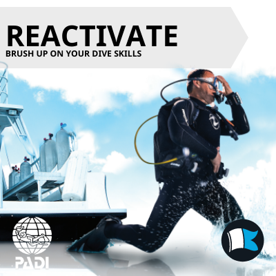 Reactivate/Refresher