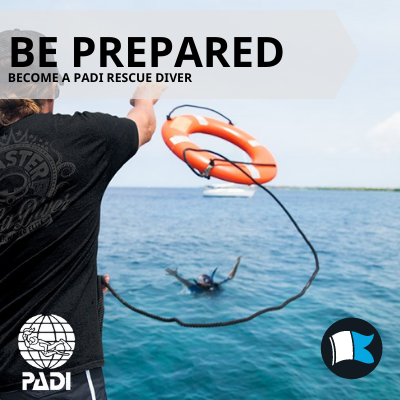 Rescue Diver