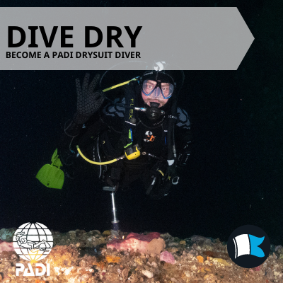 Drysuit Diver