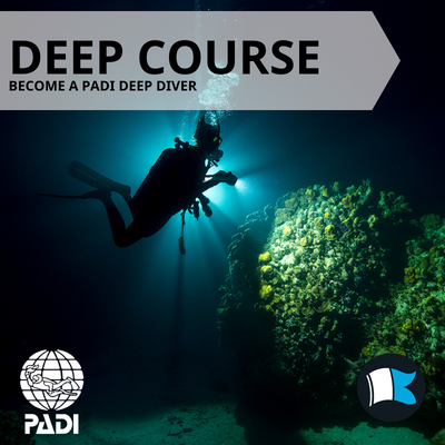 Deep Diver