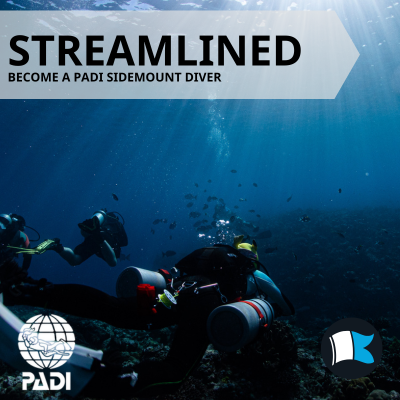 Sidemount
