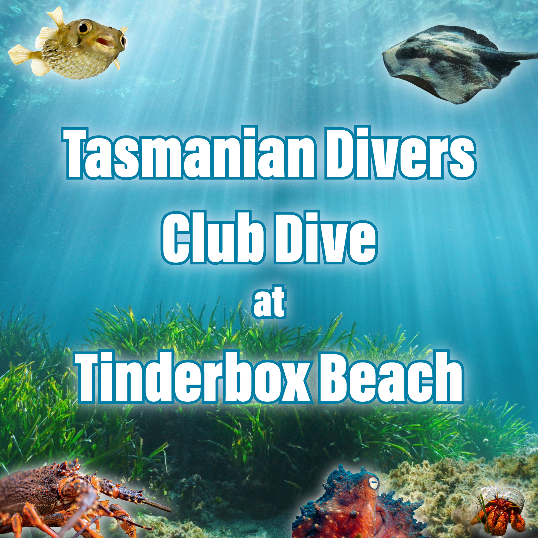 11th July | Club Dive | Tinderbox Beach