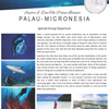 Palau - Micronesia
