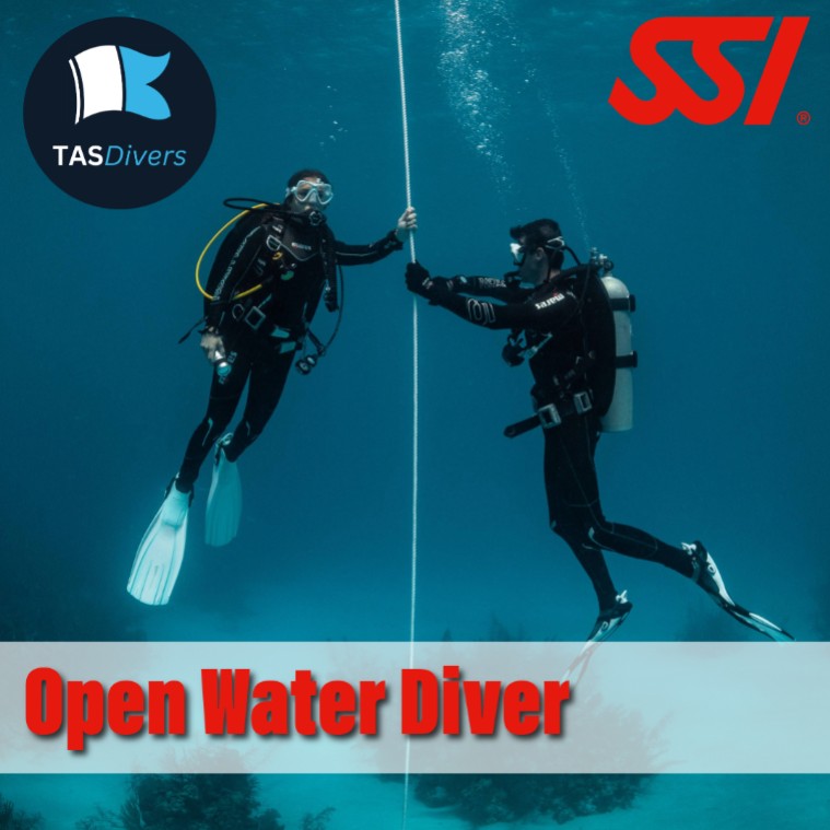2 Day only | Open Water Diver | Midweek Course - Hobart only $649 min 2 people