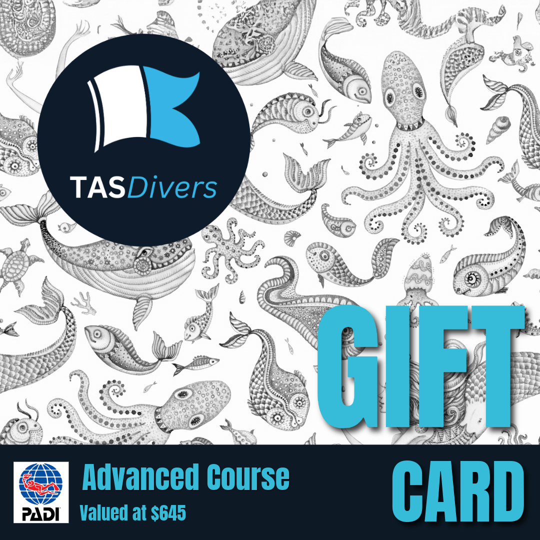 Tas Divers PADI Dive Course Gift Card