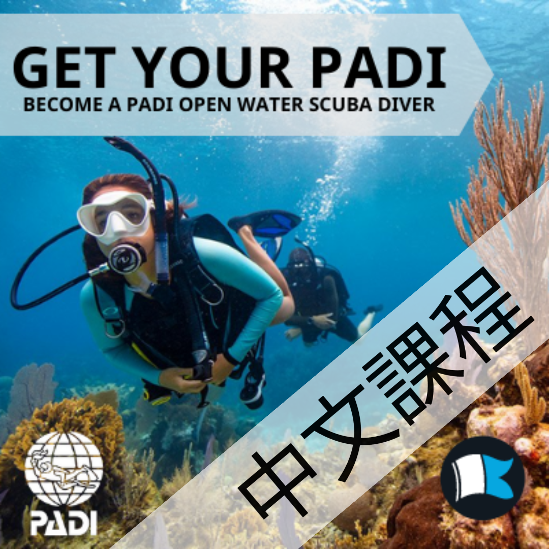 開放水域潛水員