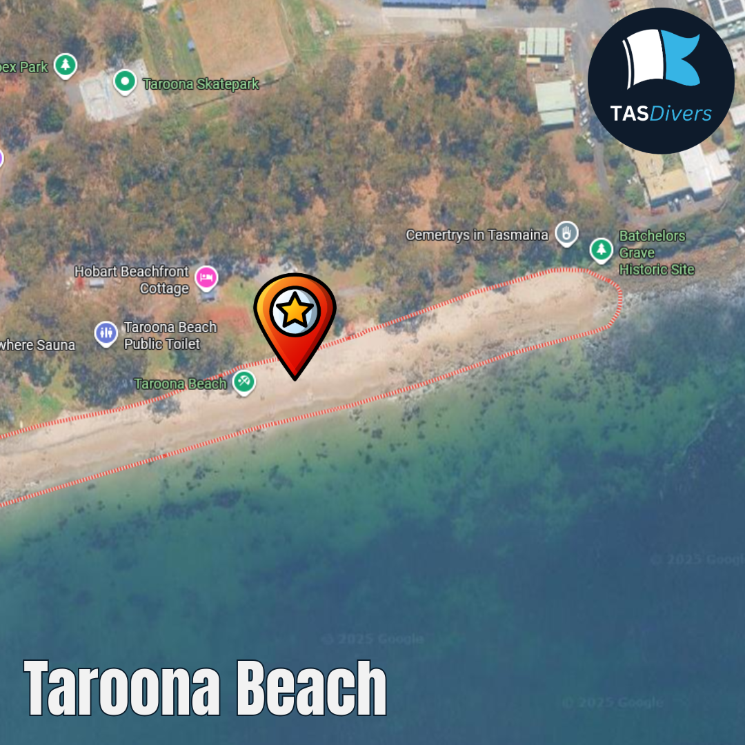 Night Dive | Taroona Beach | 3rd October