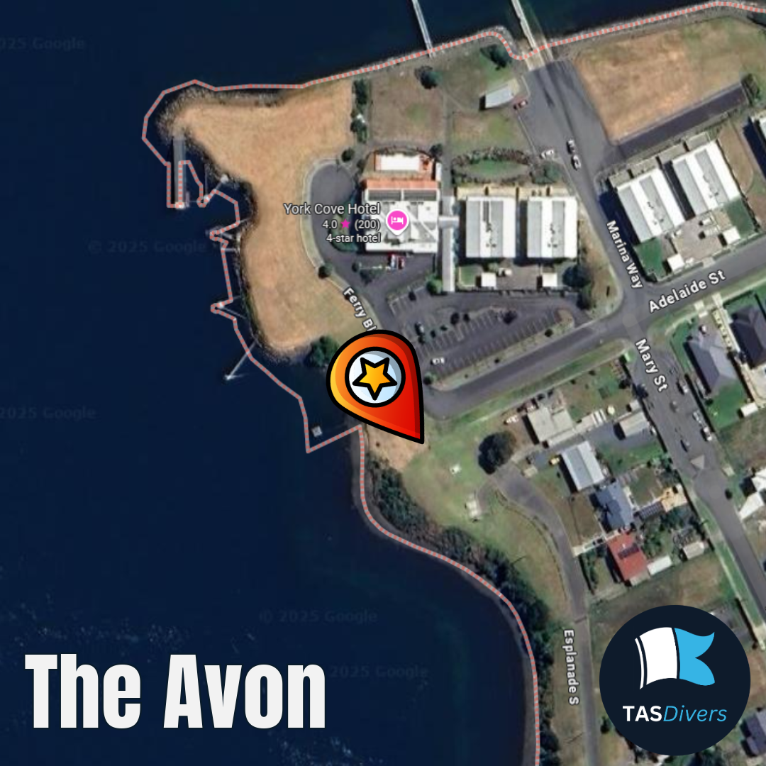 4th Jan | Club Dive | The Avon