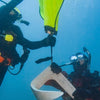 Search & Recovery