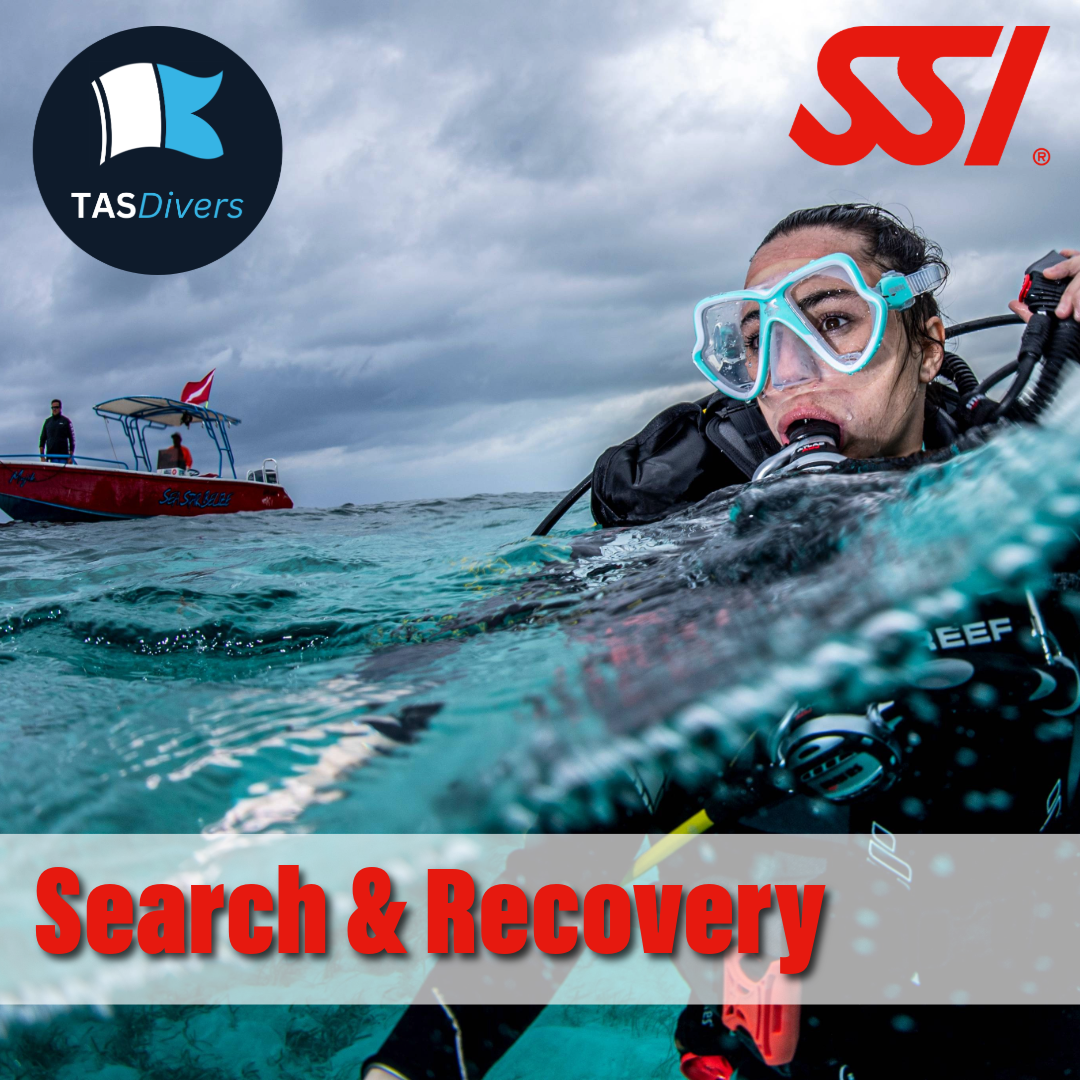 Search & Recovery