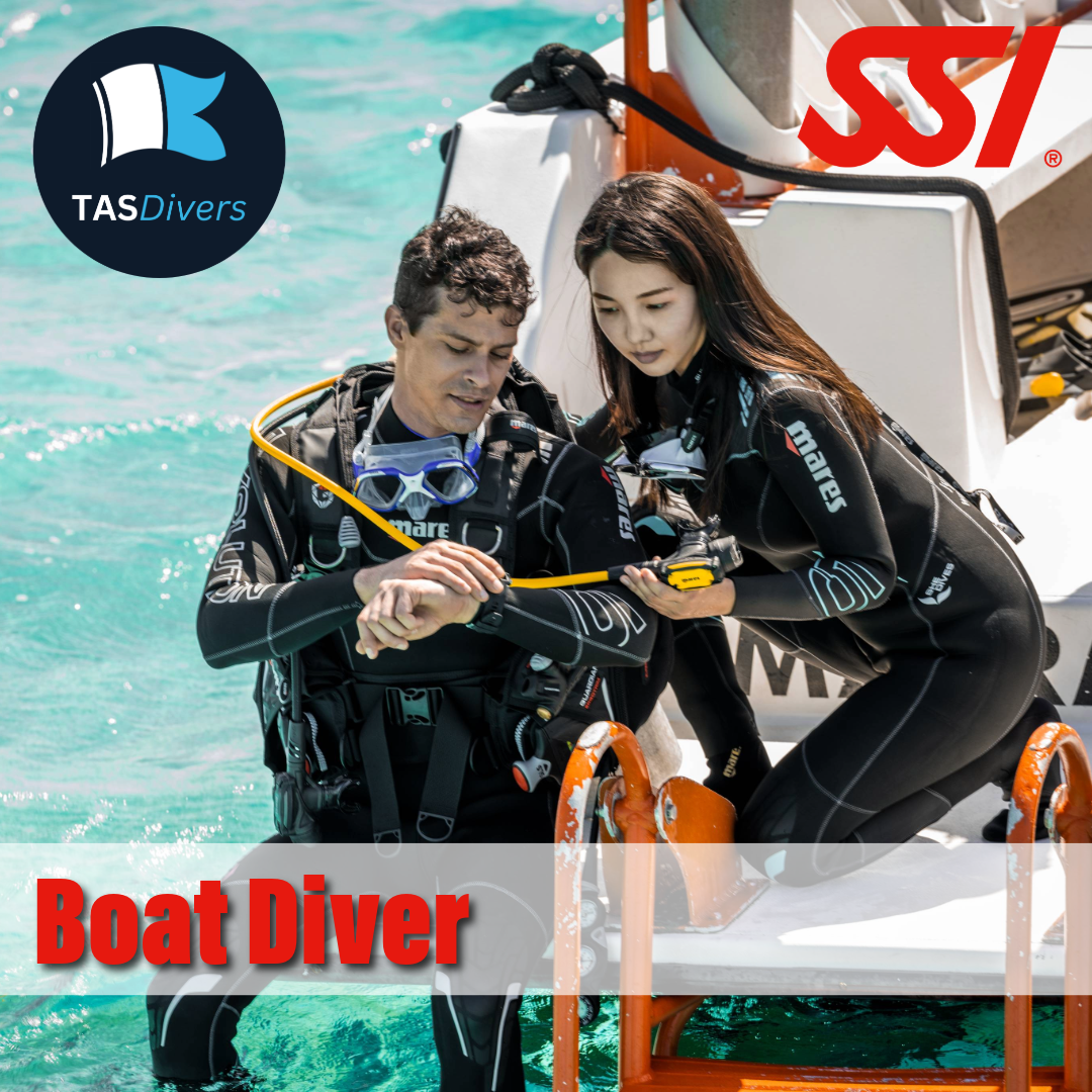 Boat Diver