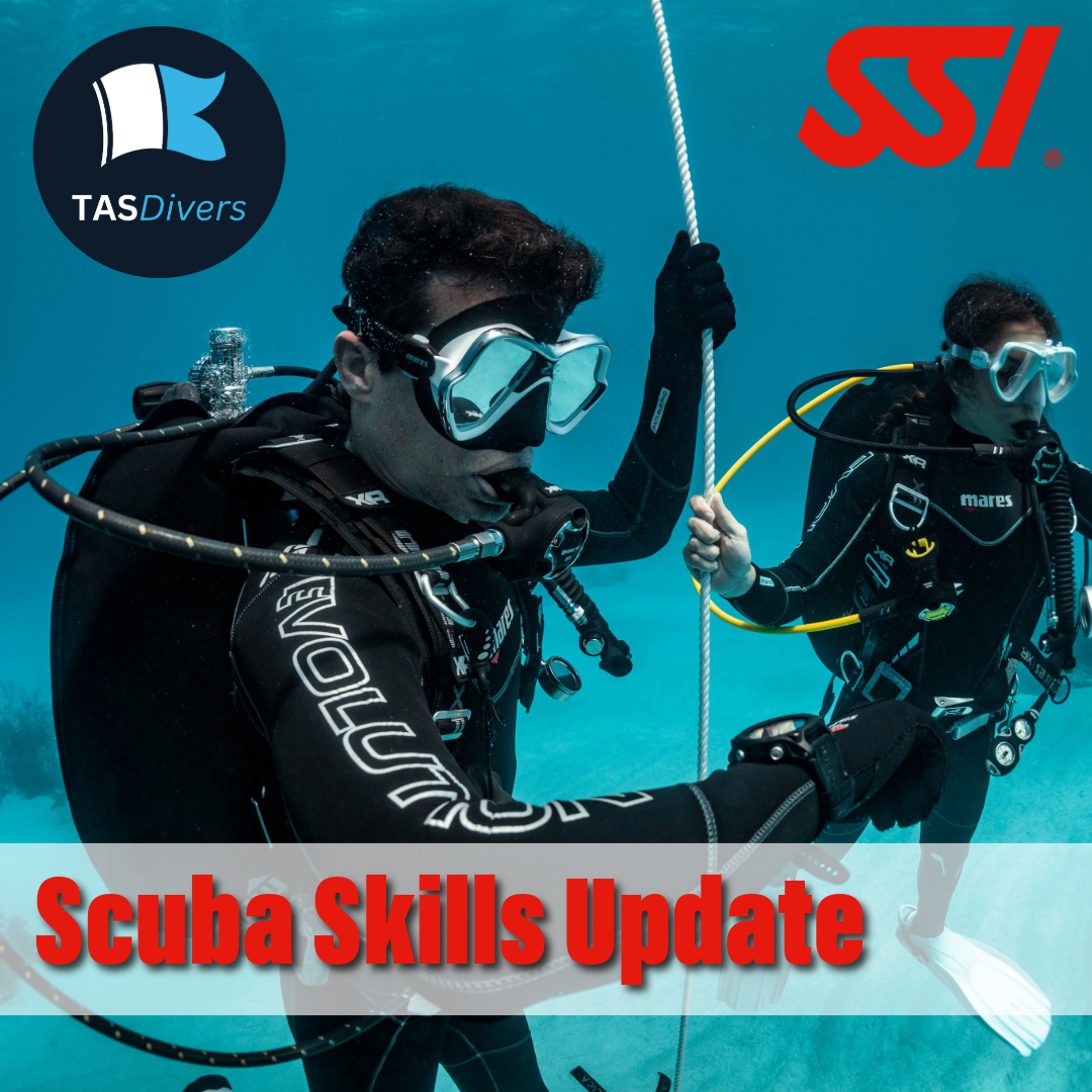Scuba Skills Update/Refresher