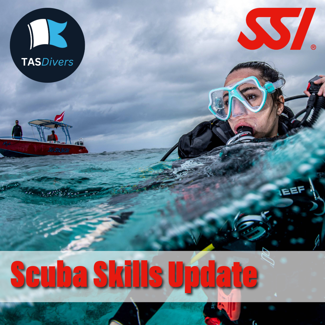 Scuba Skills Update/Refresher