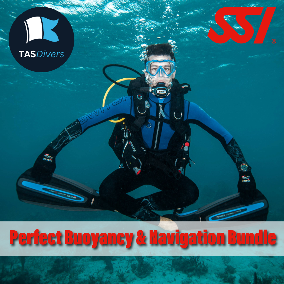 Perfect Buoyancy & Navigation Bundle