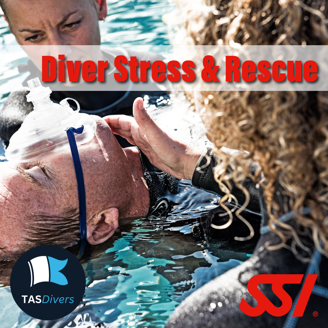 Rescue Diver